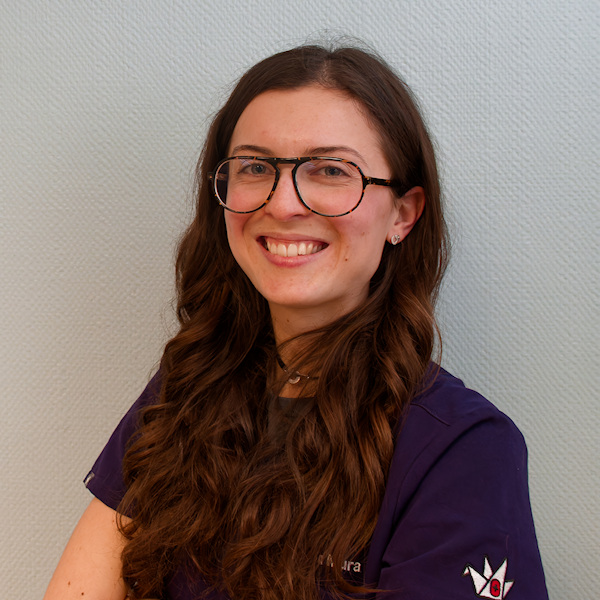 Les vétérinaires de nos deux cliniques