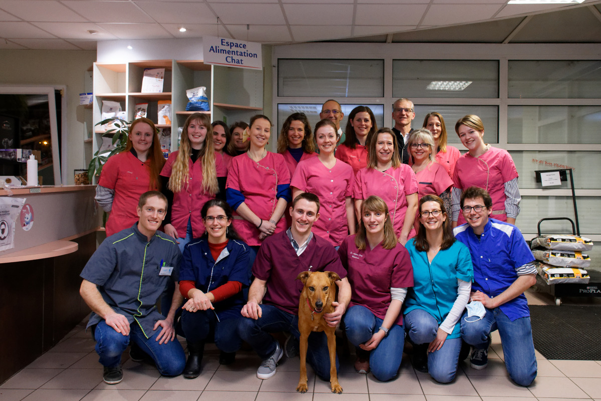 Notre équipe vétérinaire