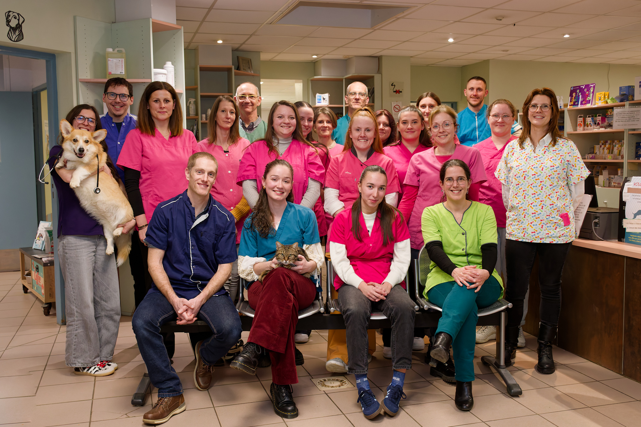 Notre équipe vétérinaire