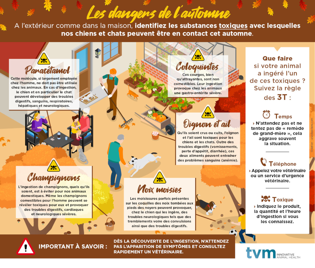 Intoxication automne