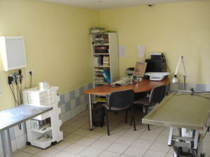 Médecine vétarinaire